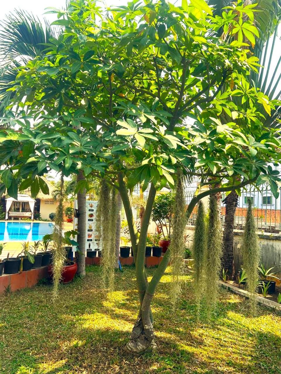 Riviera Hotel & Resort Kep Exterior photo